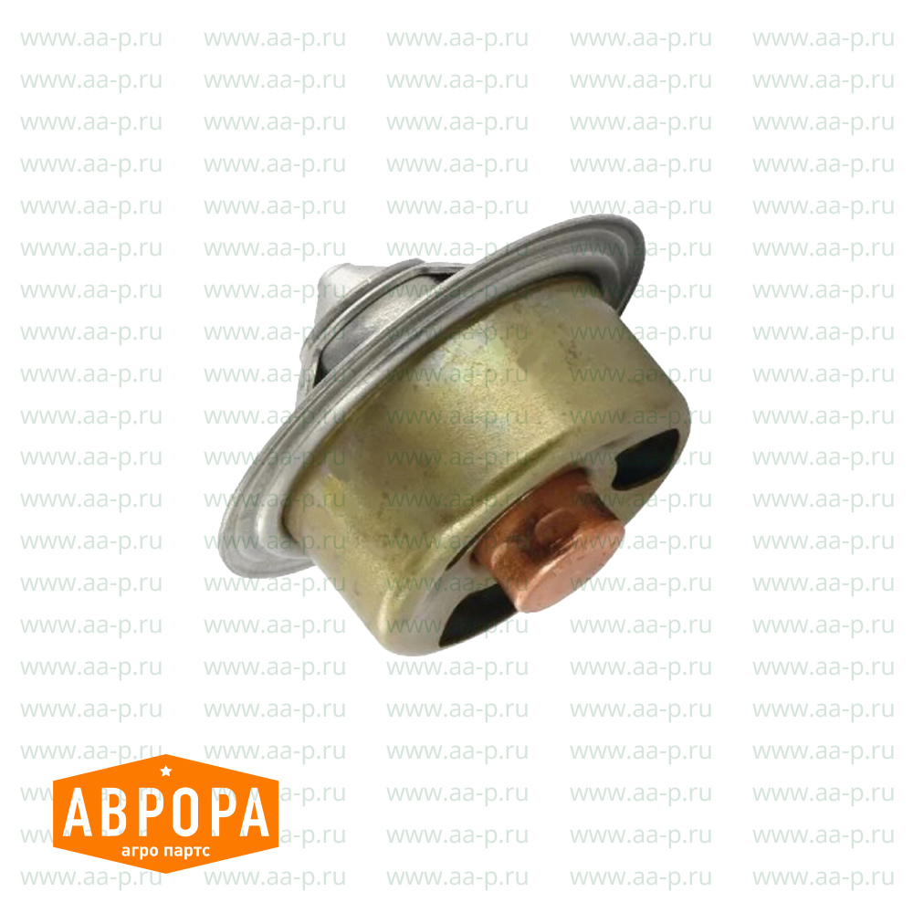 DZ100555 ТЕРМОСТАТ